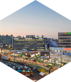 引领国际前沿设计