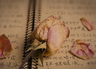 你是谁并不重要，重要的是和谁在一起